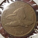 1858 Flying Eagle Cent Large Vs Small Letters 6bcd43857.jpg