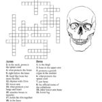 ankle-bone-crossword-clue-5-letters_a504ae464.jpg