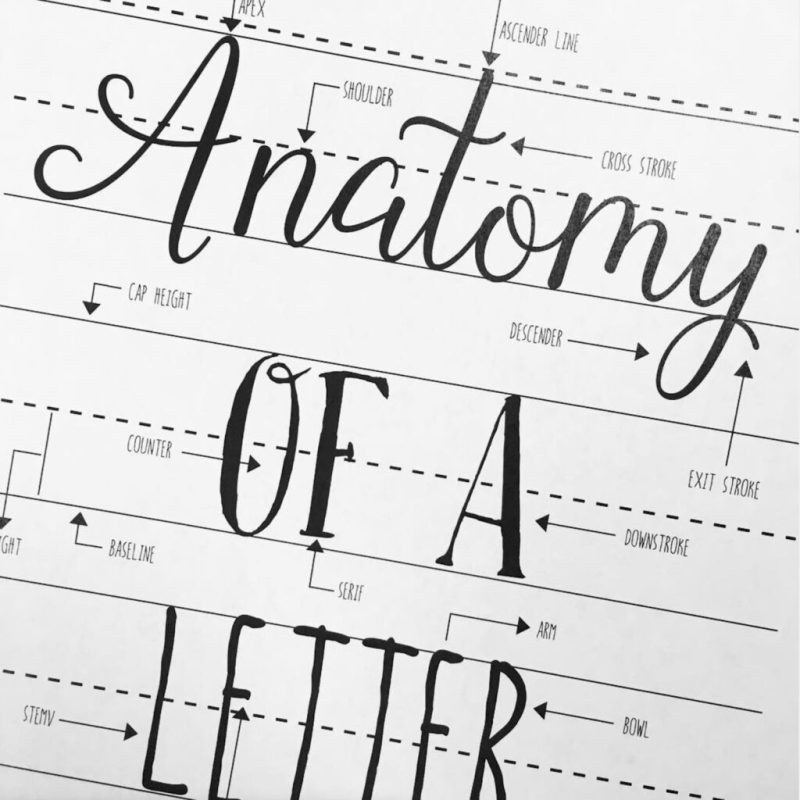 Curved Embellishments In Handwritten Letters – Caipm