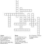 fit-of-fury-crossword-clue-3-letters_6c495ab1b.jpg