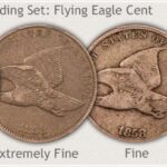 Flying Eagle Cent Large Vs Small Letters 29ae271cf.jpg
