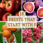 fruits-with-5-letters_91e666467.jpg