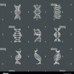 genetic-letters-crossword-clue_a5ba9b797.jpg