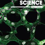 Journal Of Nanoscience Letters Impact Factor 42131778d.jpg